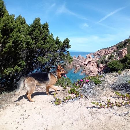 Villetta Monica Costa Paradiso Eksteriør bilde