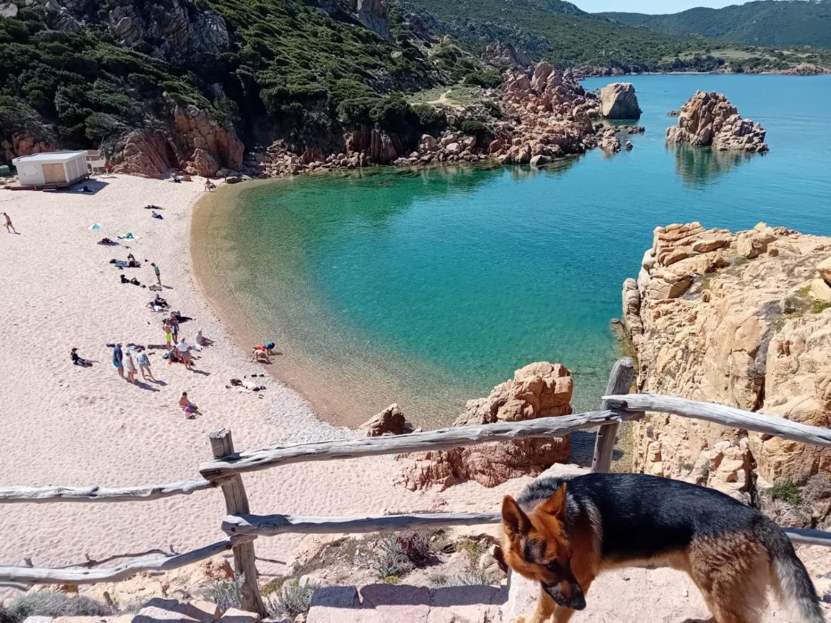 Villetta Monica Costa Paradiso Eksteriør bilde